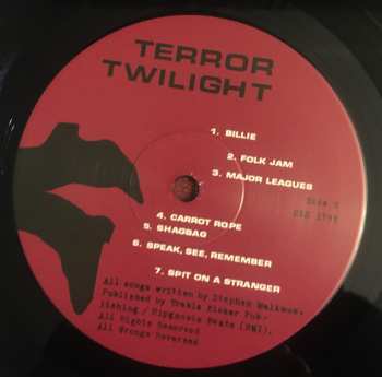 4LP/Coffret Pavement: Terror Twilight: Farewell Horizontal LTD