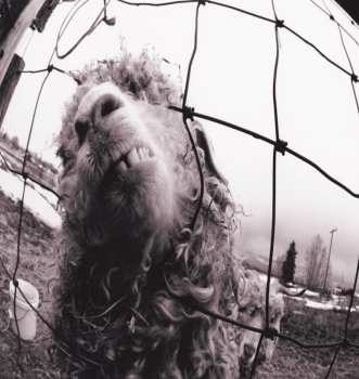 Album Pearl Jam: Vs.