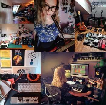 LP Penfriend: Exotic Monsters LTD | CLR