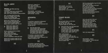 CD Pepe Ahlqvist: Doggone Blues