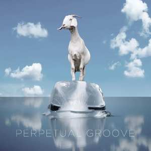 LP Perpetual Groove: Perpetual Groove