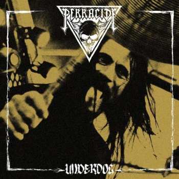 LP Perracide: Underdog
