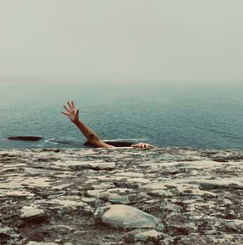 Album Pet Fox: A Face In Your Life