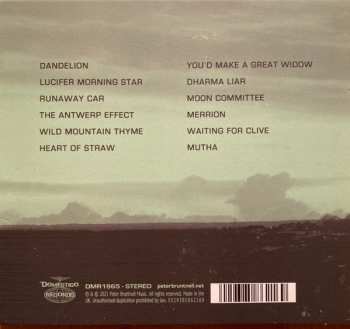 CD Peter Bruntnell: Journey To The Sun