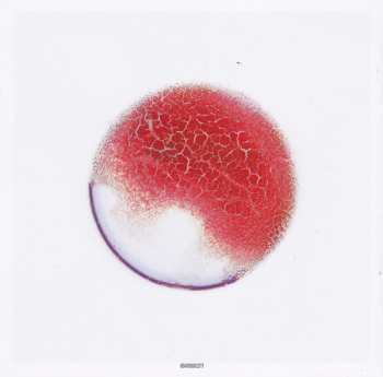 CD Peter Gabriel: And I'll Scratch Yours