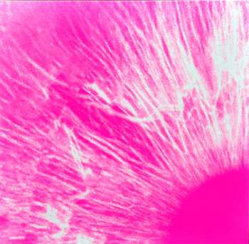 4LP/2CD/Coffret/Blu-ray Peter Gabriel: I/O DLX | LTD