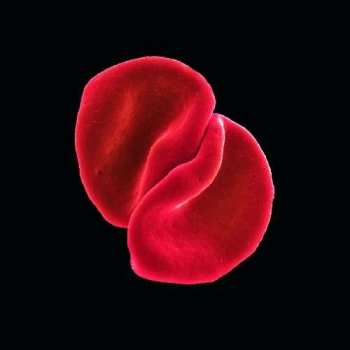CD Peter Gabriel: Scratch My Back