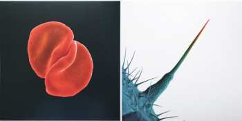 2LP Peter Gabriel: Scratch My Back / And I'll Scratch Yours