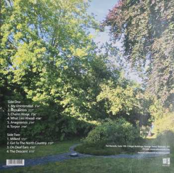 LP Peter Hammill: From The Trees