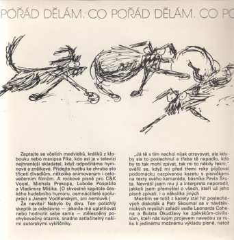 2SP Petr Skoumal: Co Pořád Dělám