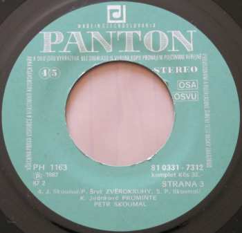 2SP Petr Skoumal: Co Pořád Dělám