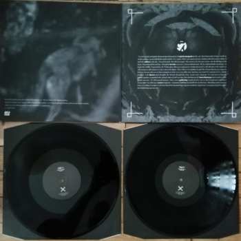 2LP pg.lost: Key