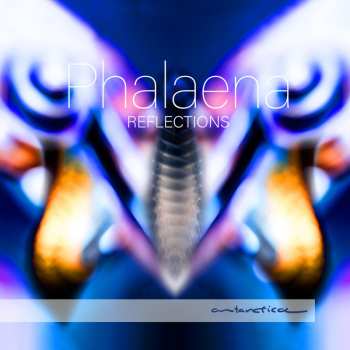 Album Phalaena: Reflections
