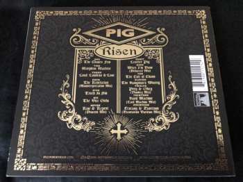 CD Pig: Risen