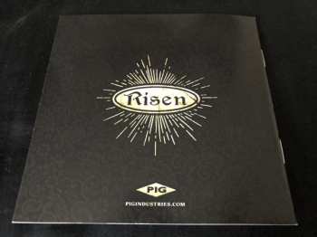 CD Pig: Risen