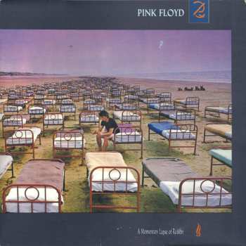 LP Pink Floyd: A Momentary Lapse Of Reason