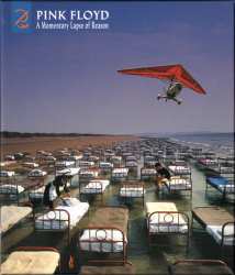 CD/DVD/Coffret Pink Floyd: A Momentary Lapse Of Reason (Remixed & Updated) DLX