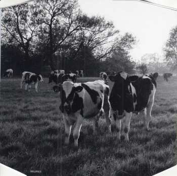 CD/Blu-ray Pink Floyd: Atom Heart Mother LTD