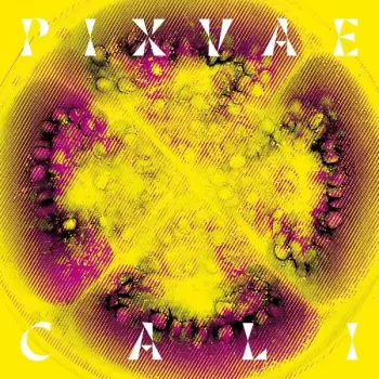 Pixvae: Cali