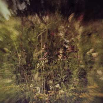 Album Pluralone: 7-wile/remembered