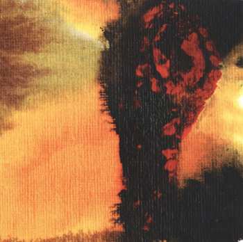 CD Polar Bear: Same As You