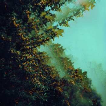 LP Polymoon: Caterpillars Of Creation