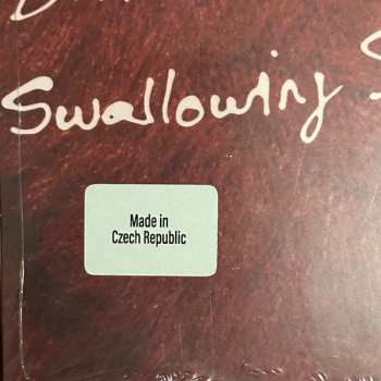 LP PONY: Clearly Cursed