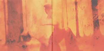 2LP Porcupine Tree: Deadwing - Clear Vinyl