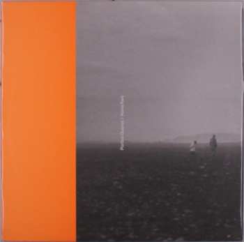 LP Portico Quartet: Portico Quartet / Hania Rani LTD