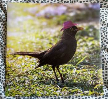 LP Tiña: Positive Mental Health Music LTD | CLR