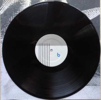 LP Preoccupations: Preoccupations