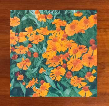 LP Princess Chelsea: The Loneliest Girl LTD | CLR