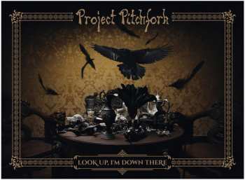 2CD/Coffret Project Pitchfork: Look Up, I'm Down There LTD | NUM
