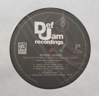 LP Public Enemy: What You Gonna Do When The Grid Goes Down?
