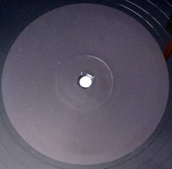 LP Pulled by Magnets: Rose Golden Doorways