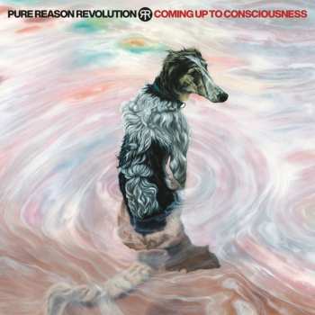 CD/DVD Pure Reason Revolution: Coming Up To Consciousness LTD