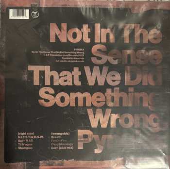 LP Pynuka: Not In The Sense That We Did Something Wrong CLR
