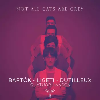Not All Cats Are Grey