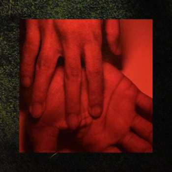 LP Rachika Nayar: Our Hands Against The Dusk LTD | CLR