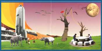 CD Rainstick Orchestra: The Floating Glass Key In The Sky