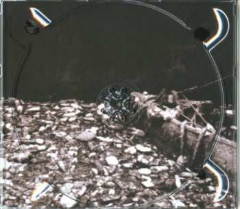 2CD raison d'être: Within The Depths Of Silence And Phormations (Redux) DIGI