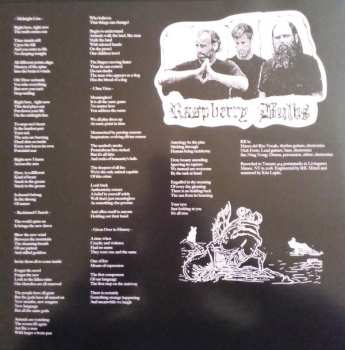 LP Raspberry Bulbs: Before The Age Of Mirrors