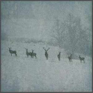 2LP Rauhnacht: Winterstille CLR | LTD