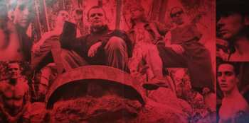 2LP Red Hot Chili Peppers: Blood Sugar Sex Magik