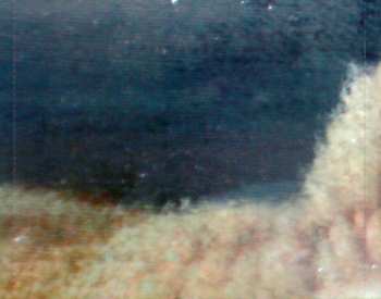 CD Red Hot Chili Peppers: By The Way