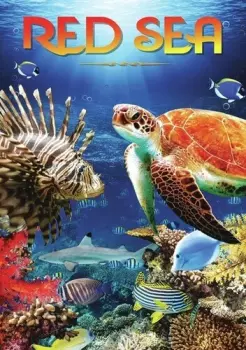 Red Sea: Red Sea