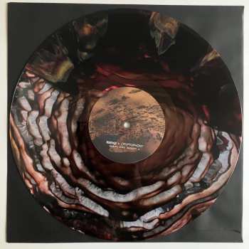 2LP Reeko: Cryptophony LTD