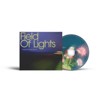 Sven Regener: Field Of Lights