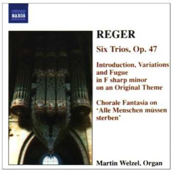 Album Reger / Wetzel: Organ Works 6