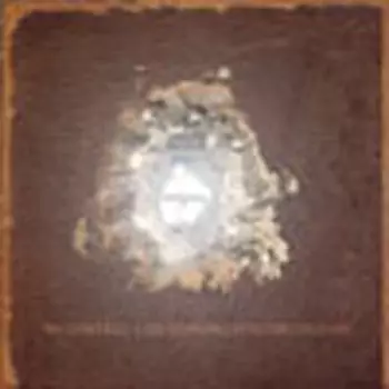 We Lowered A Microphone Into The Ground